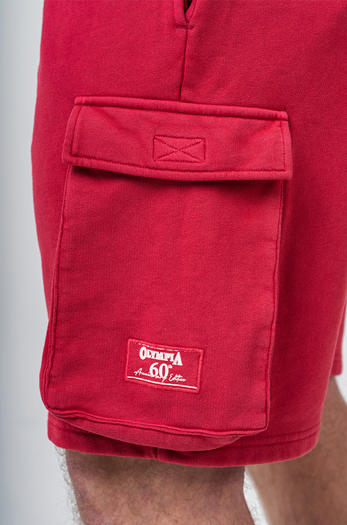 Washed-off pantalones cortos cargo LEGACY 787